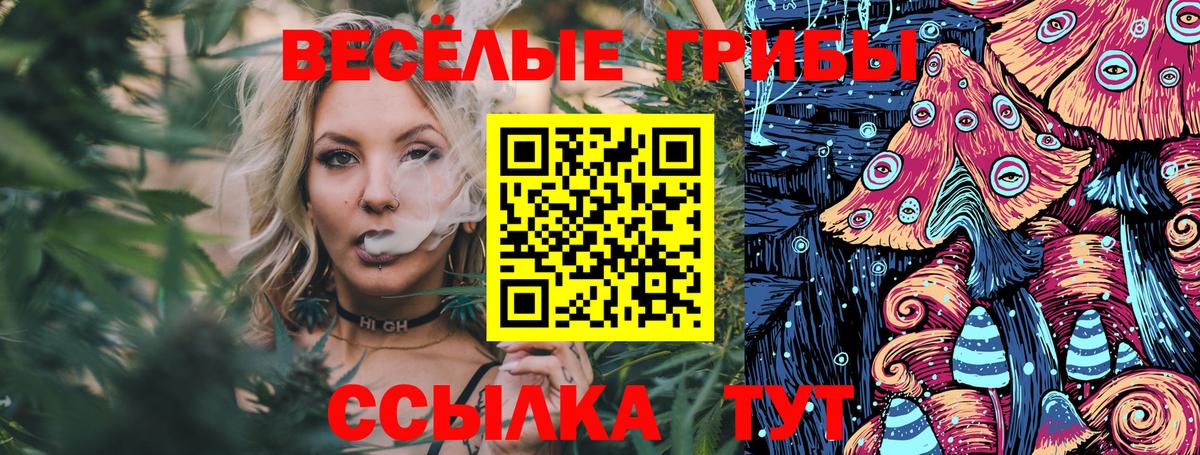Псилоцибиновые грибы Psilocybe  Галлюциногенные грибы Magic Shrooms  Армавир  Вход с VPN 