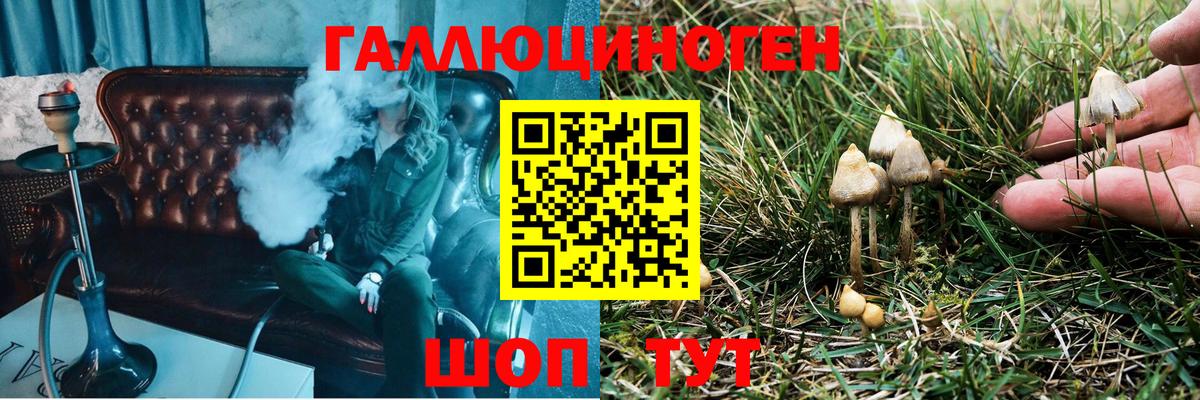 Псилоцибиновые грибы Cubensis Армавир